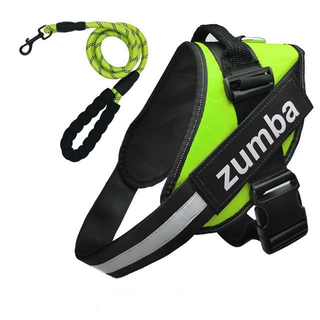 Personalized Dog Harness and Leash with Name and Phone Number - Velora Luxury Fashion