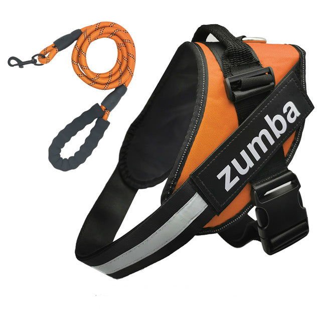 Personalized Dog Harness and Leash with Name and Phone Number - Velora Luxury Fashion