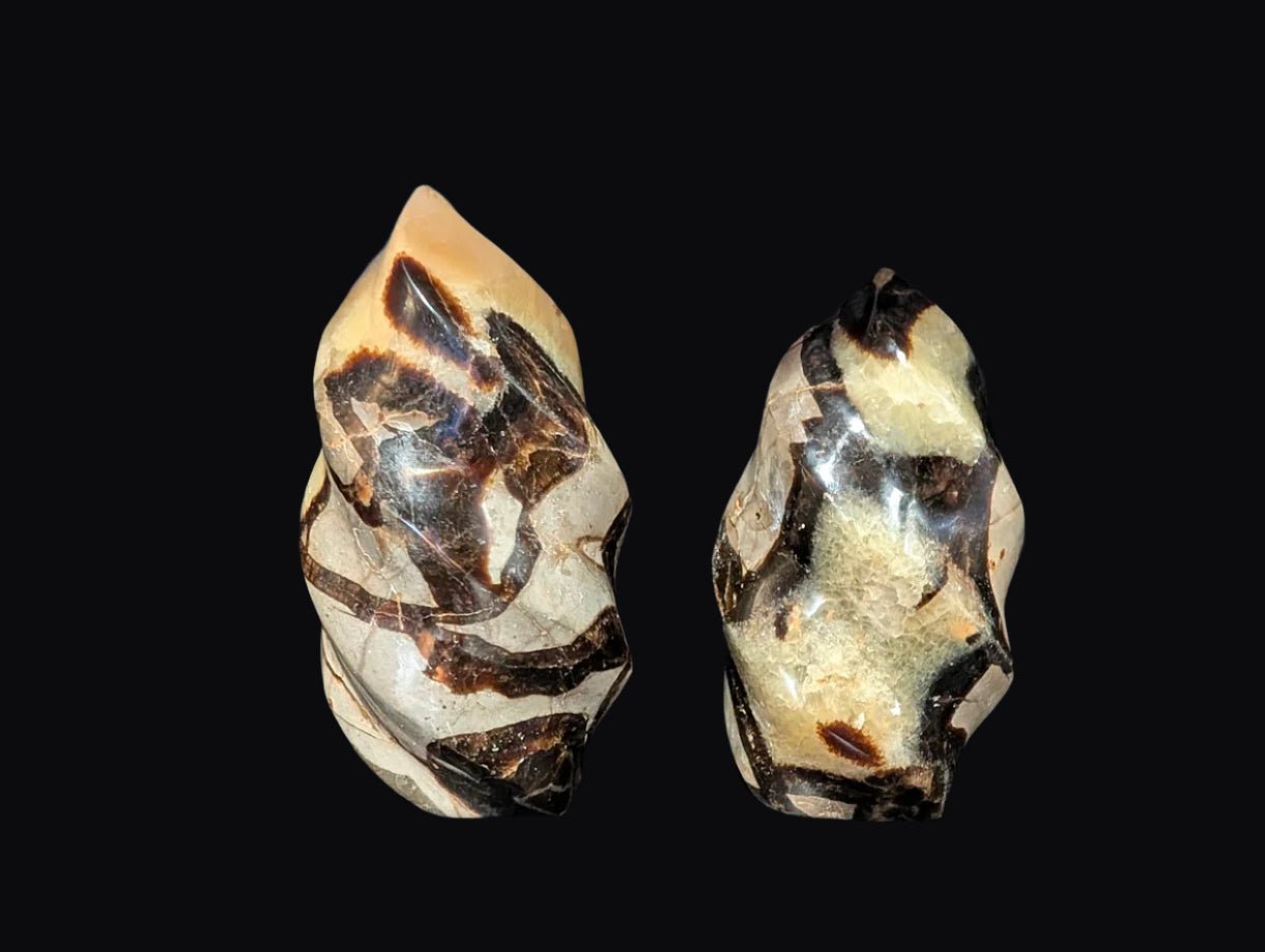 Septarian "Dragon Stone" Nodule Flame Carving – Madagascar