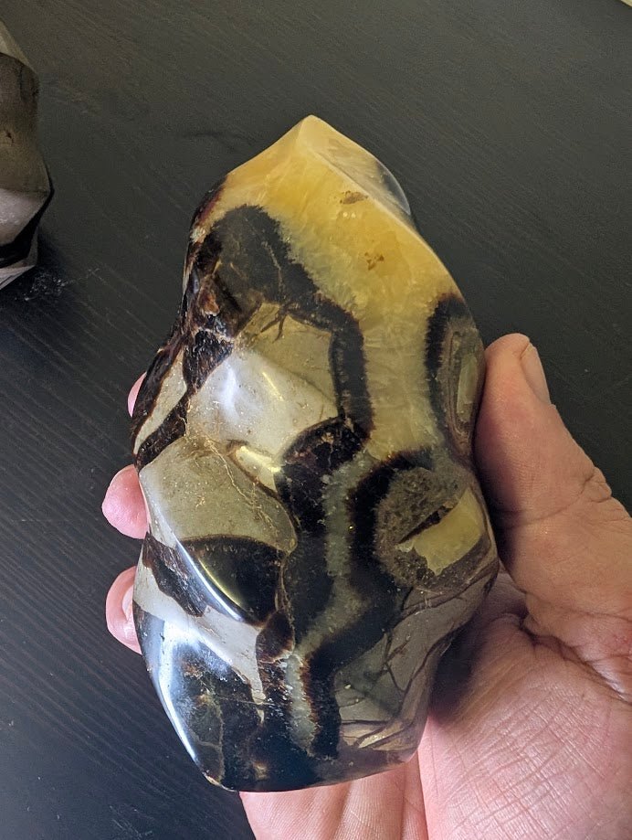 Septarian "Dragon Stone" Nodule Flame Carving – Madagascar