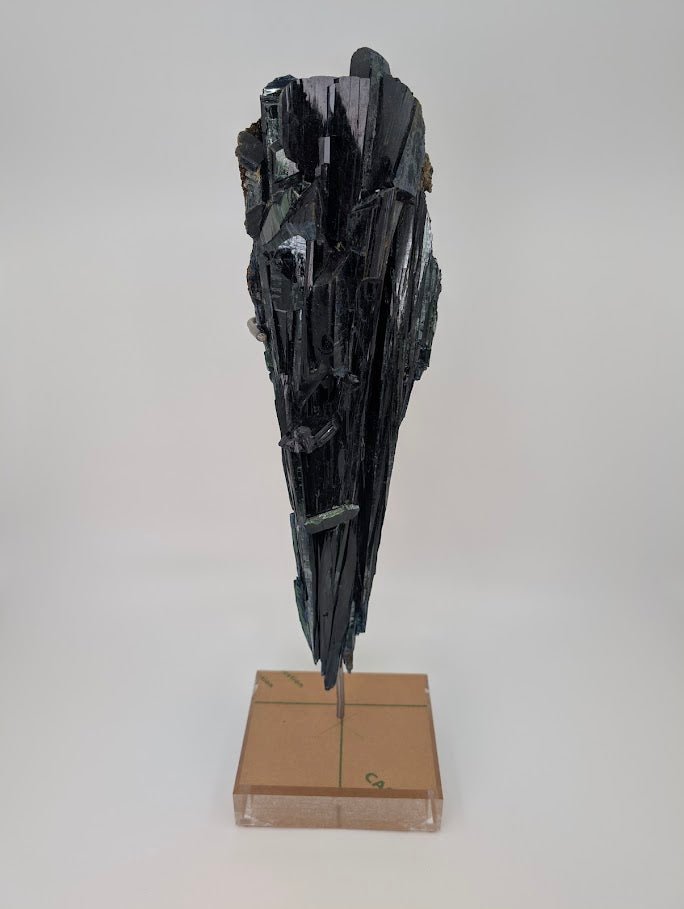 Vivianite Crystal - 1.9kg, 38cm Tall - Cabeca do Cachorro Claim, Amazonas, Brazil