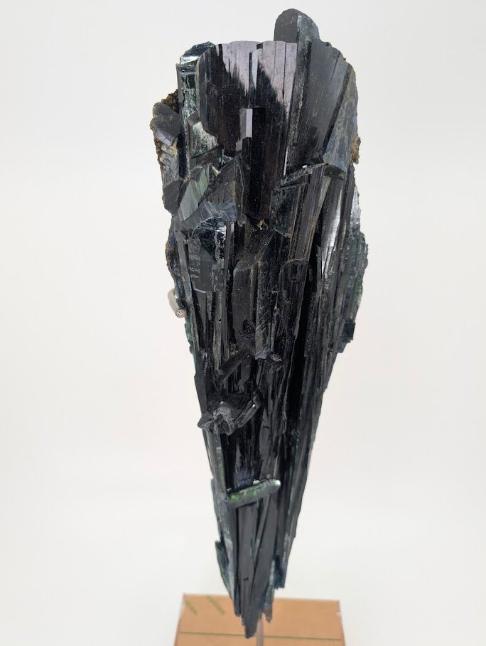 Vivianite Crystal - 1.9kg, 38cm Tall - Cabeca do Cachorro Claim, Amazonas, Brazil